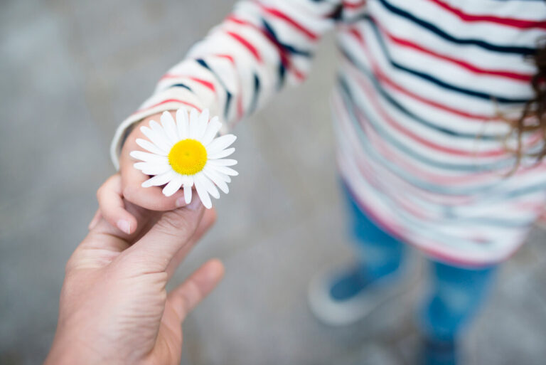 Hands of a child and an adult holding a daisy