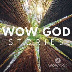 Wow God stories podcast art